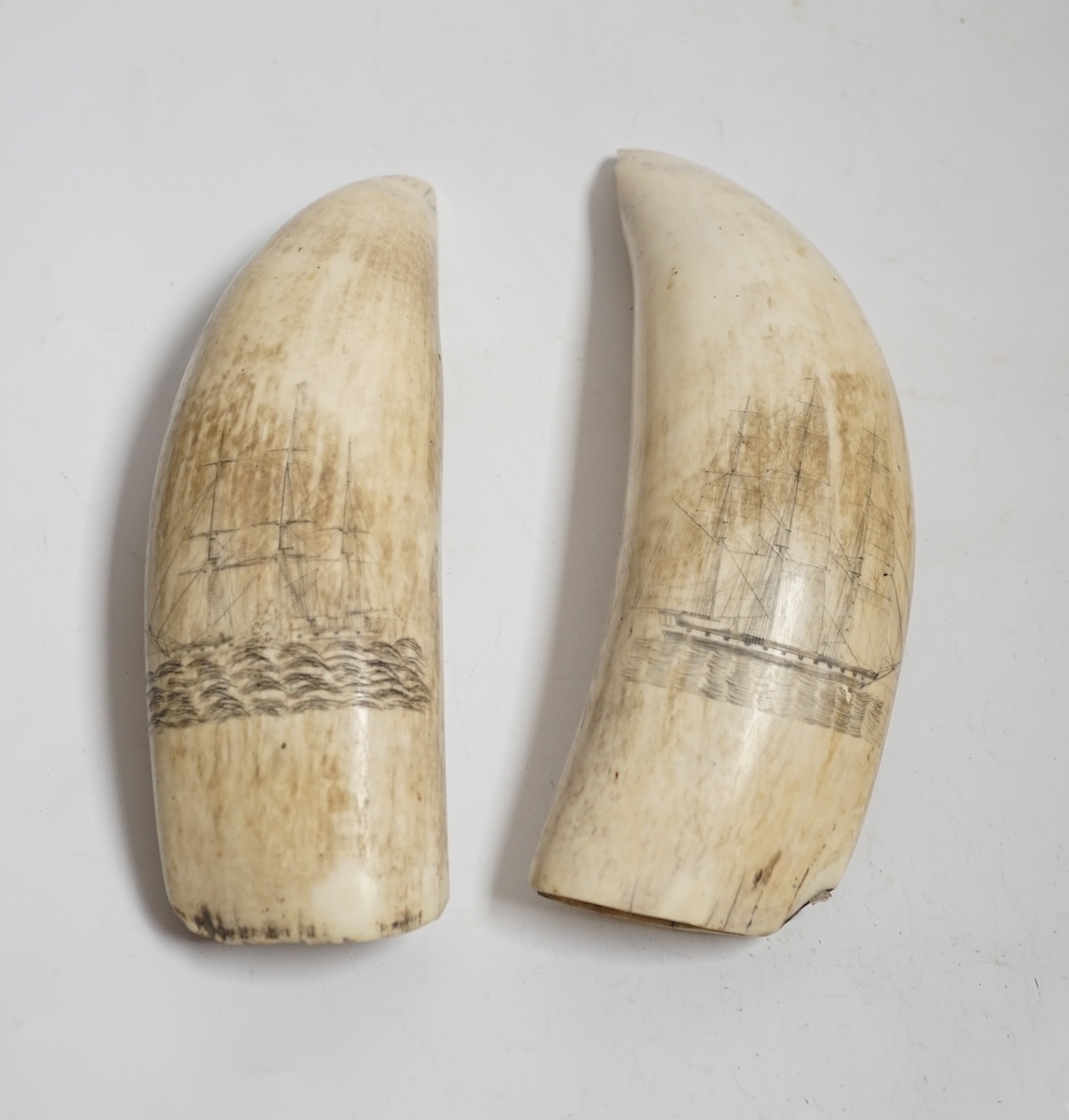 Two 19th century scrimshaw sperm whale teeth, each incised with a ship, 20cm in length